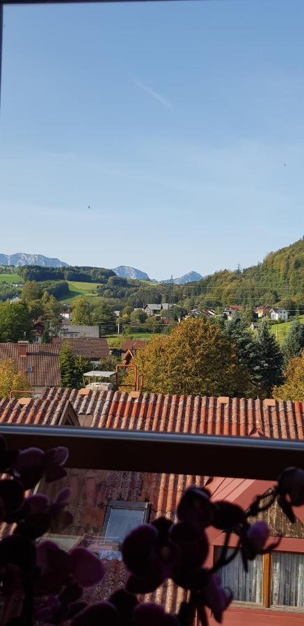 Auszeit Am Traunsee Альтмюнстер Экстерьер фото